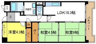 コーシャハイツ瓜破の物件間取画像